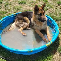 processed/ba94f71f-b50a-4a3b-b543-1942011599bf/facility/0311f0ff-d7a8-4039-80b5-254c06c8e1a7