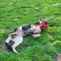 processed/ba94f71f-b50a-4a3b-b543-1942011599bf/facility/23c146cb-c7c1-4bef-9b7a-46d8c0644bcb