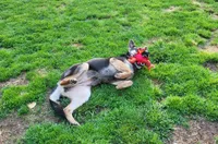 processed/ba94f71f-b50a-4a3b-b543-1942011599bf/facility/23c146cb-c7c1-4bef-9b7a-46d8c0644bcb