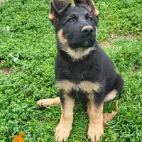 processed/ba94f71f-b50a-4a3b-b543-1942011599bf/facility/4a851502-ca23-4635-abd6-d221de3ee02a