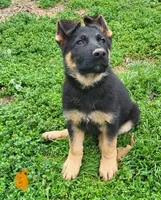 processed/ba94f71f-b50a-4a3b-b543-1942011599bf/facility/4a851502-ca23-4635-abd6-d221de3ee02a