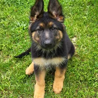 processed/ba94f71f-b50a-4a3b-b543-1942011599bf/facility/a0262a68-4cf4-42f6-b221-1b4b8105e5c1