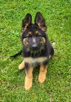 processed/ba94f71f-b50a-4a3b-b543-1942011599bf/facility/a0262a68-4cf4-42f6-b221-1b4b8105e5c1