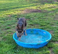 processed/ba94f71f-b50a-4a3b-b543-1942011599bf/facility/a71ad9f8-fefe-4538-8314-29d06b098e93