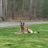 processed/ba94f71f-b50a-4a3b-b543-1942011599bf/facility/c44cdb78-75d6-402a-b003-5a9752fa3bd8