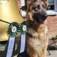 processed/ba94f71f-b50a-4a3b-b543-1942011599bf/facility/ccf88ad2-9cfd-48b9-a4ef-4f06fbaab349