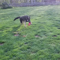 processed/ba94f71f-b50a-4a3b-b543-1942011599bf/facility/e94a929a-7ae6-49a3-bf64-b4b082115904