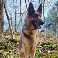 processed/ba94f71f-b50a-4a3b-b543-1942011599bf/facility/ff96eede-ef0f-408d-b0fd-2bf6b24a1334