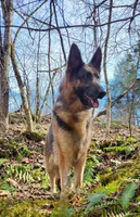 processed/ba94f71f-b50a-4a3b-b543-1942011599bf/facility/ff96eede-ef0f-408d-b0fd-2bf6b24a1334