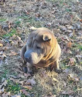 processed/ba94f71f-b50a-4a3b-b543-1942011599bf/listing/684c41fd-f146-4347-9368-7d2a37e40e95/5303f027-26fb-4052-a2b8-0c7b0676fa00