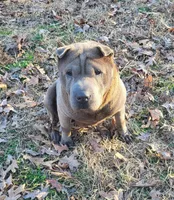 processed/ba94f71f-b50a-4a3b-b543-1942011599bf/listing/684c41fd-f146-4347-9368-7d2a37e40e95/c855d6ee-82e2-4b2b-8fed-0296e53323b9