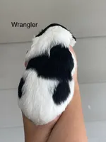 Wrangler , a male Miniature Bernedoodle for sale in Berne, IN – 2 of 4