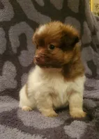 processed/baaa8e38-7bab-48f6-9823-9d3e0ce3c710/listing/bb577079-2950-49c8-a202-eb073c1e519f/8fc29736-675d-41f9-a1cf-d08e767d5384