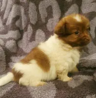 processed/baaa8e38-7bab-48f6-9823-9d3e0ce3c710/listing/bb577079-2950-49c8-a202-eb073c1e519f/d93dbd2c-3670-4e85-a0c5-4dbbcd9d719e