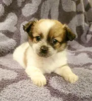 processed/baaa8e38-7bab-48f6-9823-9d3e0ce3c710/listing/bf30af1d-2a6a-4619-a7d8-6dd1c52308b0/e7aadd6f-d53c-4481-ad7c-c9fef4148869