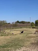 processed/baabc071-1dd4-4145-a46e-3f80a21543b4/facility/31335557-8845-4c63-b32f-1ed846e91eb7