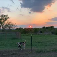 processed/baabc071-1dd4-4145-a46e-3f80a21543b4/facility/3537d701-0e30-4b79-8f44-c68c0937dea7