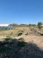 processed/baabc071-1dd4-4145-a46e-3f80a21543b4/facility/56227ca9-18fd-4352-ab08-1fb8c6ab7026