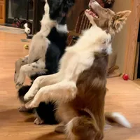 processed/baabc071-1dd4-4145-a46e-3f80a21543b4/facility/7a14d361-c947-42bc-8dad-993d107e5f46