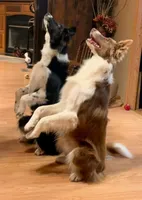 processed/baabc071-1dd4-4145-a46e-3f80a21543b4/facility/7a14d361-c947-42bc-8dad-993d107e5f46