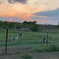 processed/baabc071-1dd4-4145-a46e-3f80a21543b4/facility/ae1c1573-1867-4fb8-a12d-5cd58960d63f