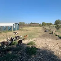 processed/baabc071-1dd4-4145-a46e-3f80a21543b4/facility/eaae52e3-0373-4520-8a84-297cd92cc583