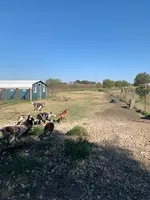 processed/baabc071-1dd4-4145-a46e-3f80a21543b4/facility/eaae52e3-0373-4520-8a84-297cd92cc583