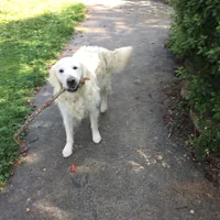 processed/baacd362-4f6b-43e8-a9cf-cbdf86866ce6/facility/3d82003b-1292-4792-9226-23ac0dab7a08