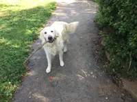 processed/baacd362-4f6b-43e8-a9cf-cbdf86866ce6/facility/3d82003b-1292-4792-9226-23ac0dab7a08