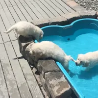 processed/baacd362-4f6b-43e8-a9cf-cbdf86866ce6/facility/9df1f7d3-2634-46e5-a13f-a7c79290d974