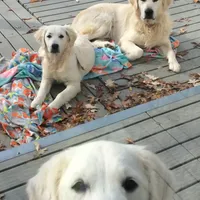 processed/baacd362-4f6b-43e8-a9cf-cbdf86866ce6/facility/e32d8b3d-b1c7-4dde-94f5-56912d6c2e6b