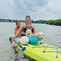 Lover Girl, a female English Cream Golden Retriever for sale in Bel Air, MD – Photo 7 of 7