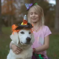 Lover Girl, a female English Cream Golden Retriever for sale in Bel Air, MD – Photo 5 of 7