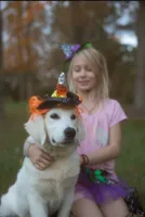 Wonderful Girl, a female English Cream Golden Retriever for sale in Bel Air, MD – 4 of 10