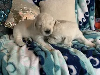 processed/baacd362-4f6b-43e8-a9cf-cbdf86866ce6/listing/378d1464-75e6-4db8-a49e-71b54bf63a37/878d386d-616f-42f1-83a8-9dc8c0b97231