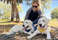 Wonderful Girl, a female English Cream Golden Retriever for sale in Bel Air, MD – 6 of 10