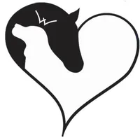 Lover boy, a male English Cream Golden Retriever for sale in Bel Air, MD – Photo 3 of 10