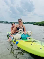 Wonderful White Girl, a female Golden Retriever for sale in Bel Air, MD – 7 of 10