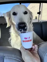 FULLY TRAINED, a female Golden Retriever for sale in Bel Air, MD – Photo 4 of 6