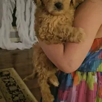 processed/bab30f6f-8b1e-416e-a1c0-dfe798639b77/facility/0bbd1d8f-0516-4e99-a6d9-2fa737e06085