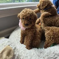 processed/bab30f6f-8b1e-416e-a1c0-dfe798639b77/facility/3bbfb6f5-9766-45dc-8b07-497f05783685