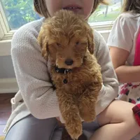 processed/bab30f6f-8b1e-416e-a1c0-dfe798639b77/facility/540bc721-7b1e-4779-9703-40722477bd21