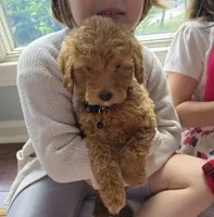 processed/bab30f6f-8b1e-416e-a1c0-dfe798639b77/facility/540bc721-7b1e-4779-9703-40722477bd21