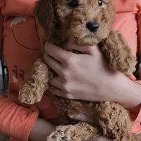 processed/bab30f6f-8b1e-416e-a1c0-dfe798639b77/facility/67979753-f40d-4013-8437-2c1f45563393