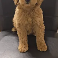 processed/bab30f6f-8b1e-416e-a1c0-dfe798639b77/facility/8a5d7ac1-e667-4772-89b0-23b4891261f0