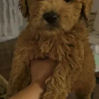 processed/bab30f6f-8b1e-416e-a1c0-dfe798639b77/facility/b8d2077d-3102-4424-a545-1ddab4fe4ced