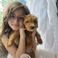 processed/bab30f6f-8b1e-416e-a1c0-dfe798639b77/facility/c65fe711-5ddc-46dd-986d-9f97586f4071