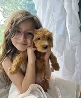 processed/bab30f6f-8b1e-416e-a1c0-dfe798639b77/facility/c65fe711-5ddc-46dd-986d-9f97586f4071