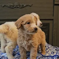 processed/bab30f6f-8b1e-416e-a1c0-dfe798639b77/facility/dc82d9b4-a702-478d-8157-99370765becd