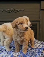 processed/bab30f6f-8b1e-416e-a1c0-dfe798639b77/facility/dc82d9b4-a702-478d-8157-99370765becd